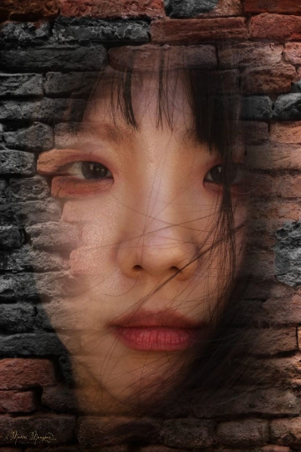 Y